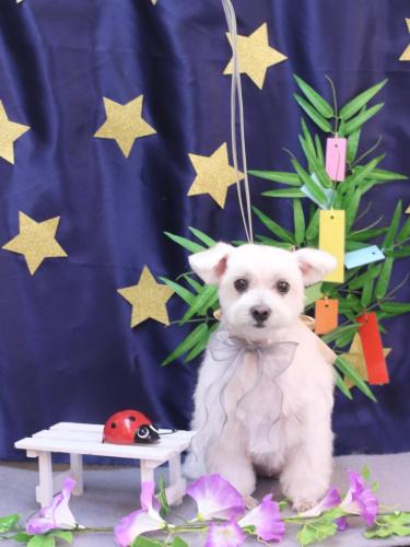 20230729ヒメちゃん